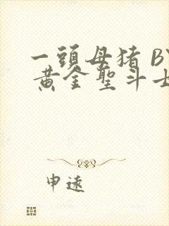 一头母猪 BY 黄金圣斗士封面