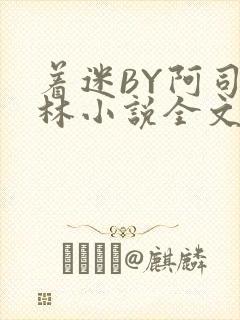 着迷BY阿司匹林小说全文免费阅读封面