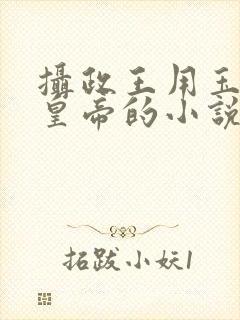 摄政王用玉髓整皇帝的小说