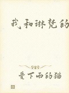 我和琳梵的故事