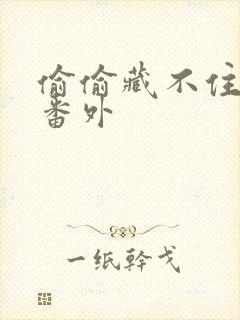 偷偷藏不住新婚番外