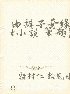 内裤子奇缘txt小说 笔趣阁