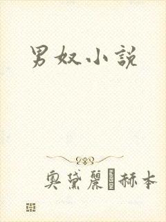 男奴小说