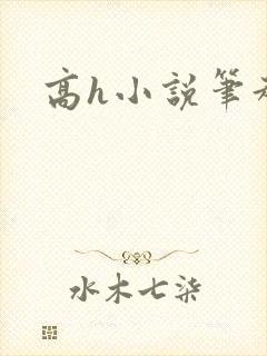 高h小说笔趣阁封面