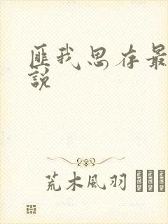 匪我思存最新小说封面