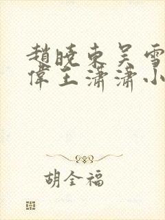 赵晓东吴雪晴郑伟王潇潇小说名字