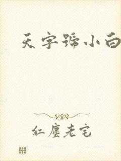 天字号小白脸封面