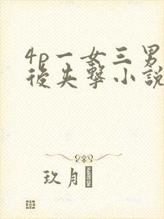 4p一女三男前后夹击小说封面