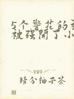 5个警花的初苞被强开了小说