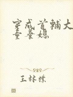 穿成首辅大人的童养媳