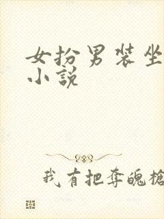 女扮男装坐江山小说封面