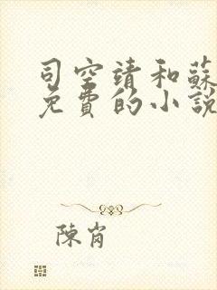 司空靖和苏月汐免费的小说笔趣阁