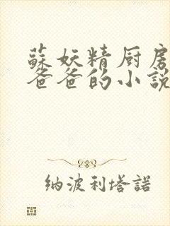 苏妖精厨房爹爹爸爸的小说