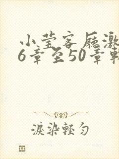 小莹客厅激情46章至50章软件介绍