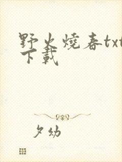 野火烧春txt下载