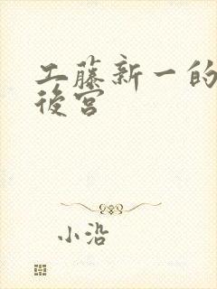 工藤新一的日本后宫