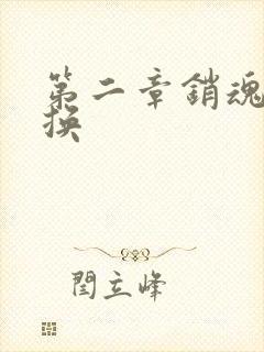 第二章销魂的交换