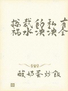 总裁的私有宝贝祸水泱泱全文阅读封面