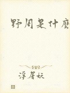 野周是什么意思