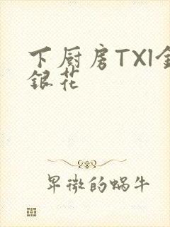 下厨房TXl金银花