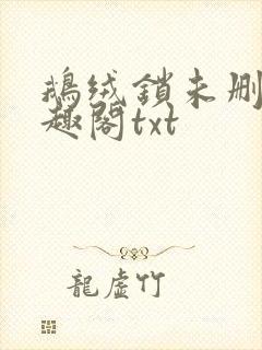 鹅绒锁未删除笔趣阁txt封面