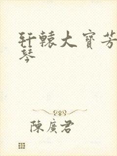 轩辕大宝芳菲雅琴
