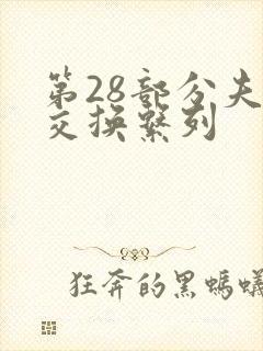 第28部分夫妇交换系列封面