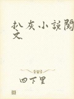 扒灰小说阅读全文封面