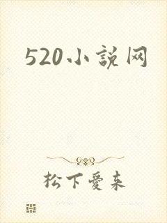 520小说网封面