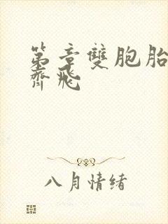 第章双胞胎姐妹齐飞封面