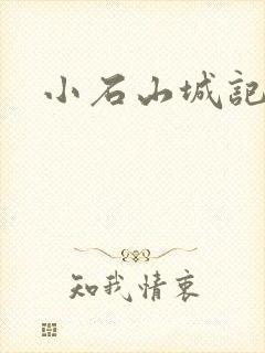 小石山城记