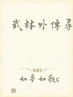 武林外传寻宝封面