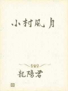 小村风月封面