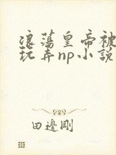 浪荡皇帝被多人玩弄np小说