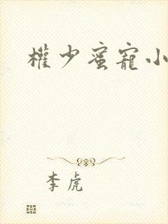 权少蜜宠小娇妻