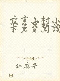 寂寞山村小说全本免费阅读封面