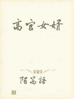高官女婿