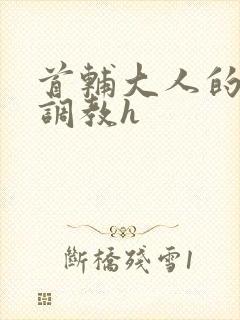 首辅大人的花式调教h