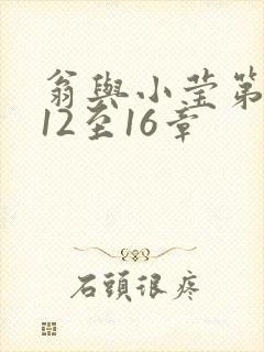 翁与小莹第十部12至16章