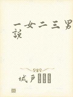 一女二三男事小说