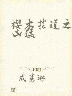 樱木花道之重生凶猛封面