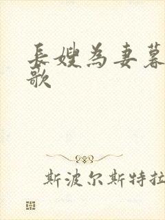 长嫂为妻暮色酒歌封面