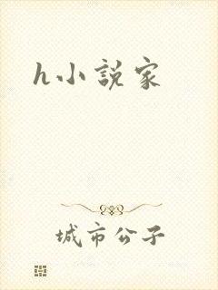 h小说家