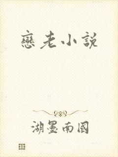 恋老小说