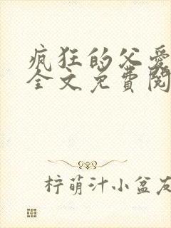 疯狂的父爱小说全文免费阅读封面
