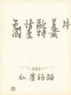 色情欧美片午夜国产特黄