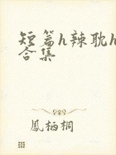 短篇h辣耽h文合集封面