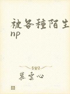 被各种陌生人 np