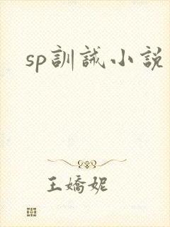 sp训诫小说
