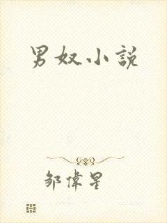 男奴小说